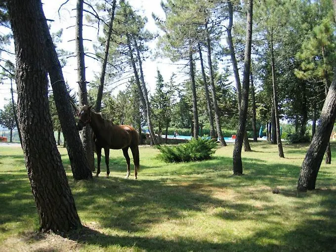 Yellowstone In Chianti Resort E Pool San Gimignano Farm stay