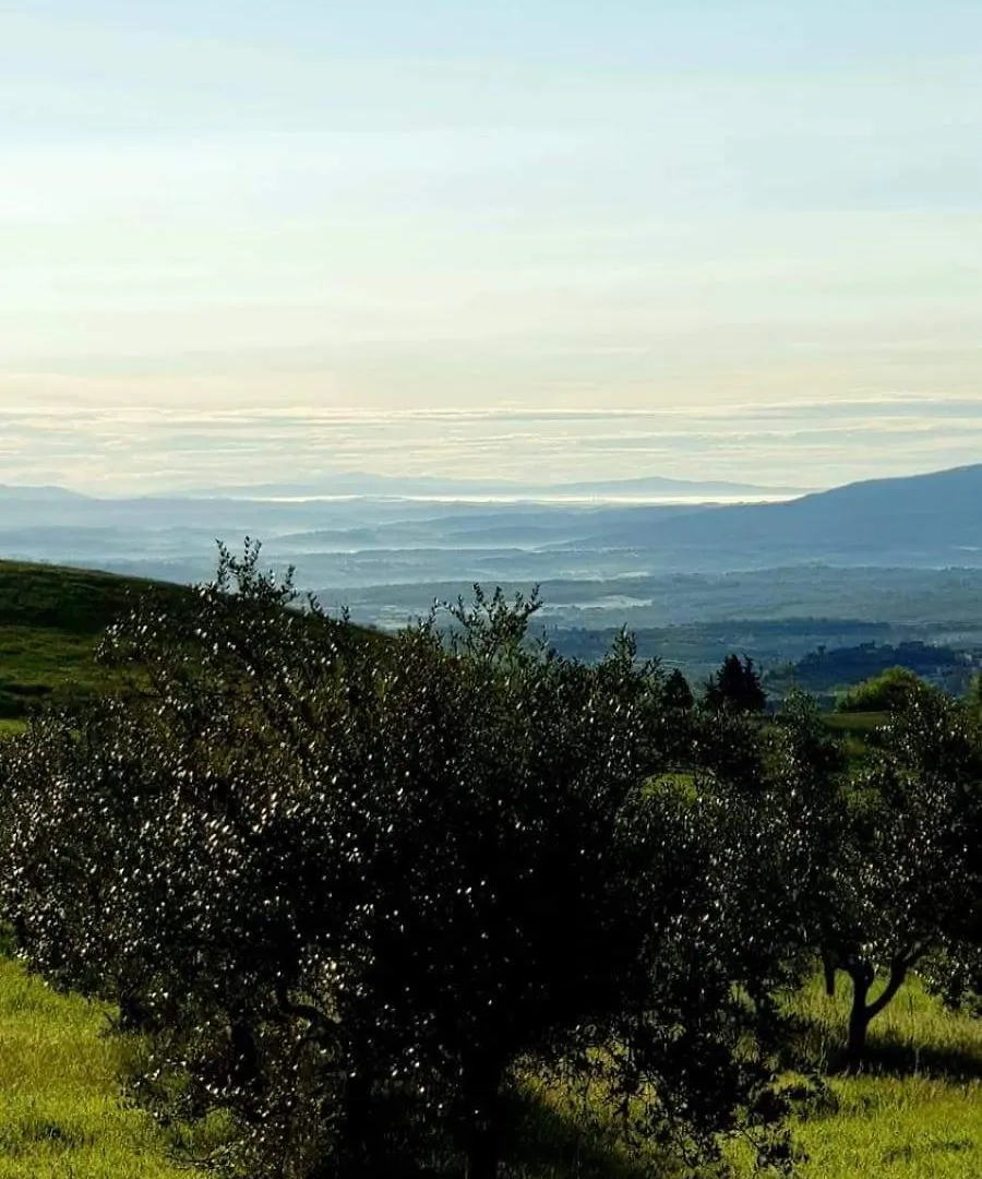 Farm stay Yellowstone In Chianti Resort E Pool San Gimignano Italy